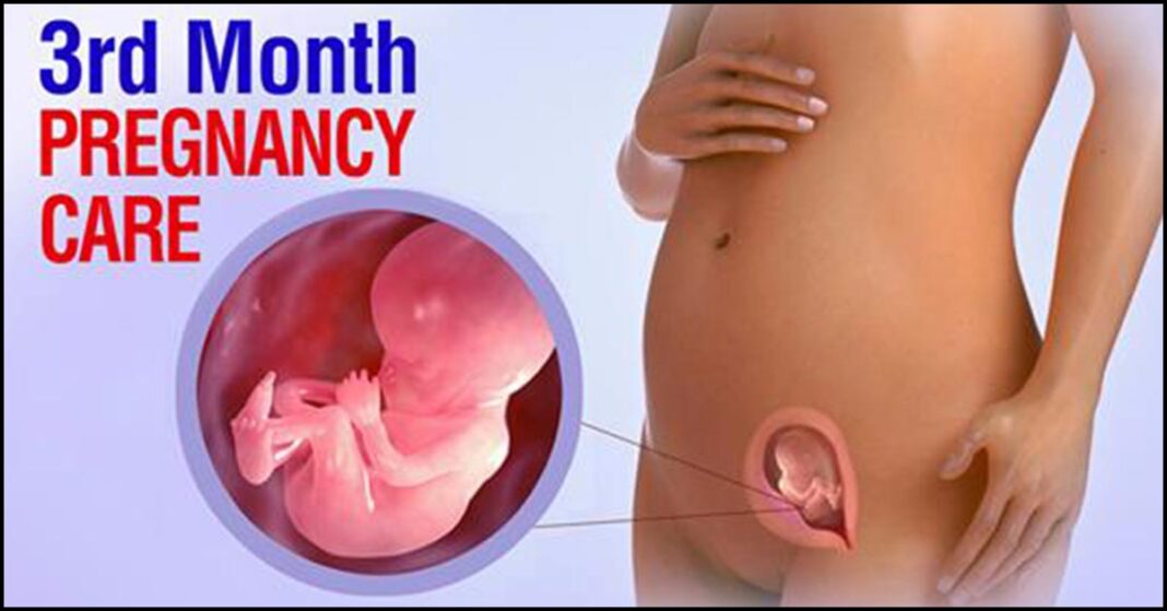 Third-Month-Pregnancy-Baby-Development-Ultrasound-And-Exercises-To-Do-1