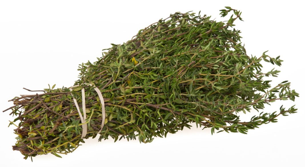 Thyme Improves Your Eye Sight And Prevents Colon Cancer