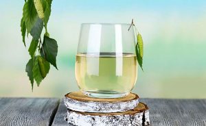 Health benefits of birch water