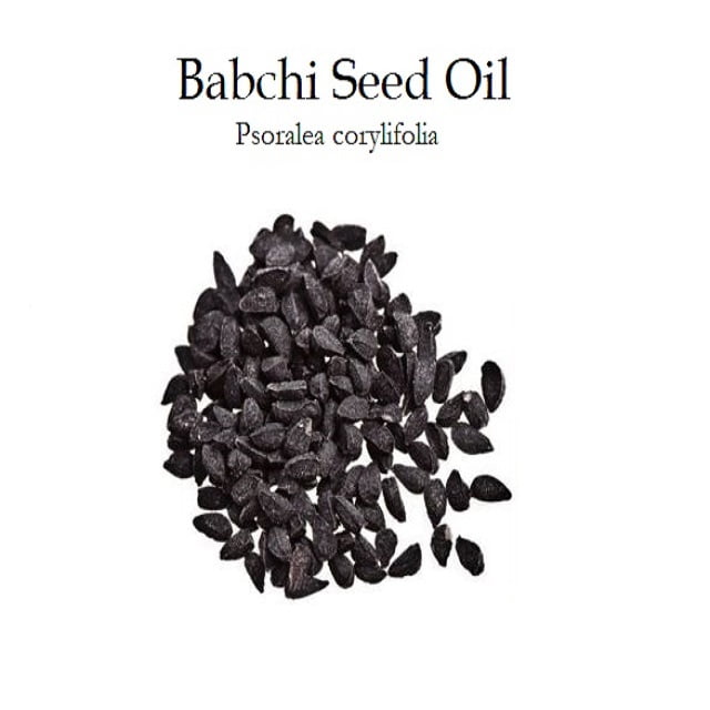 Babchi Oil: Amazing 4 Health Benefits