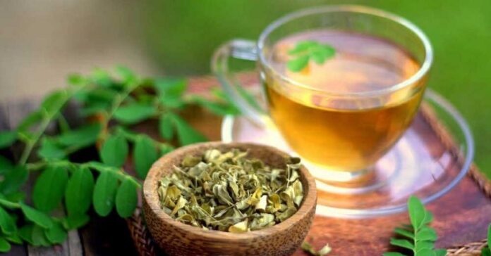 Moringa Tea: 12 Amazing Health Benefits