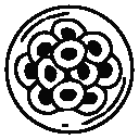 Health Calculators ALC Calculator