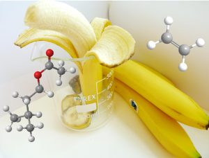 Health benefits of banana oil - Controls oily skin and hair and Prevents dandruff Health benefits of banana oil