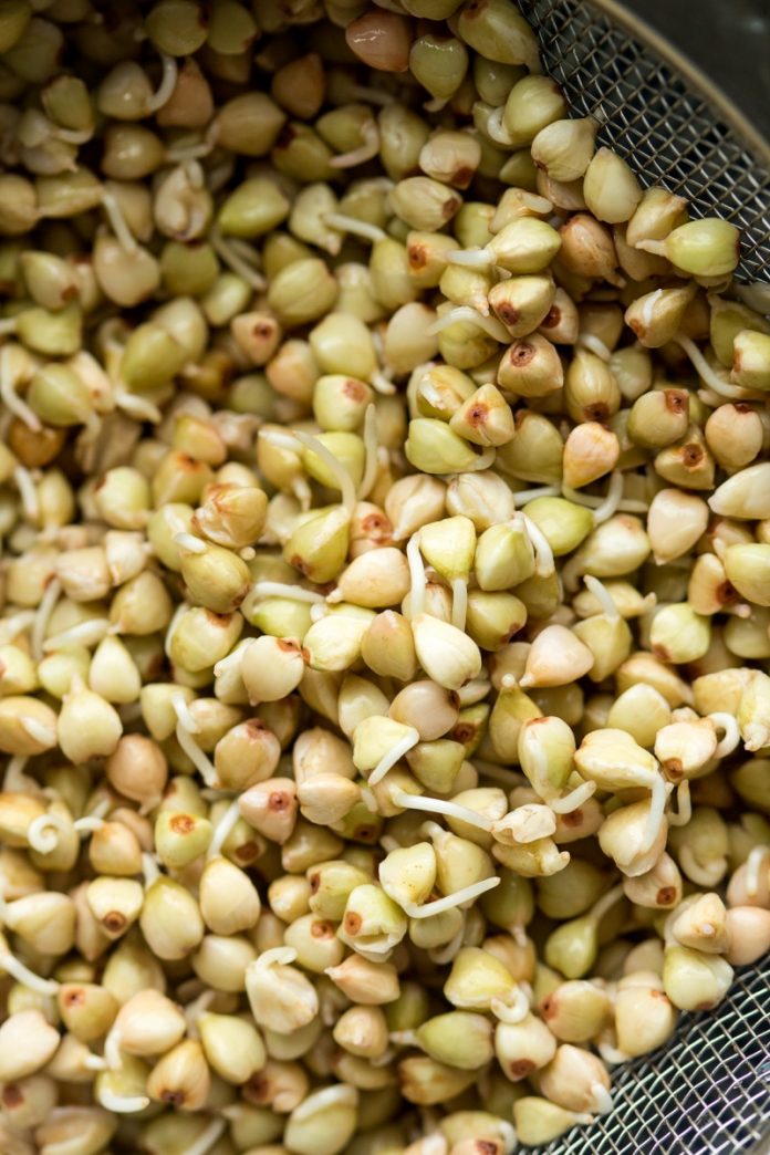 Health benefits of buckwheat