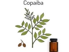 Health benefits of copaiba oil