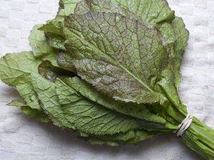 Health benefits of mustard greens