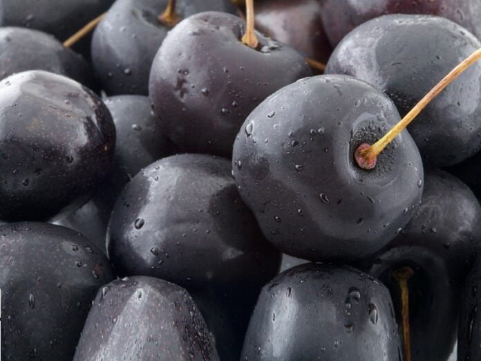 health benefits of black cherry juice