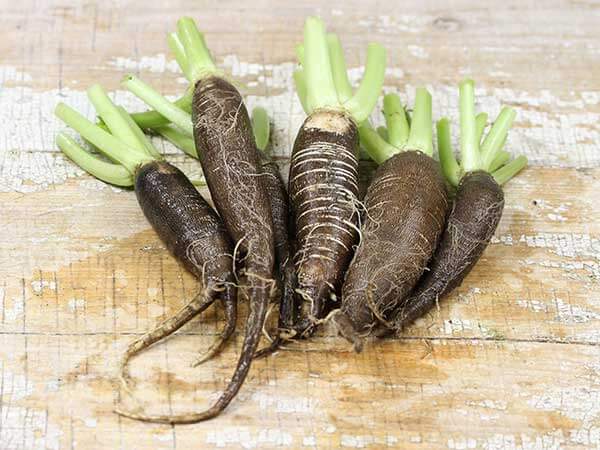 black radish juice recipe