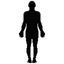 Health Calculators Body Surface Area Calculator