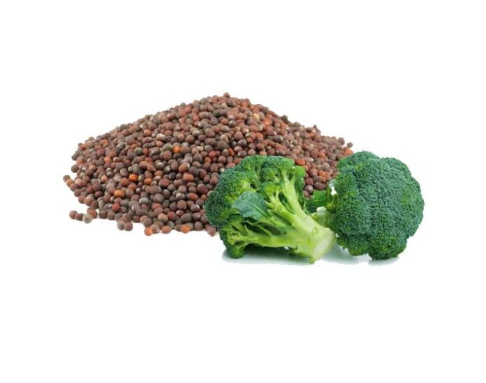 broccoli seed oil    