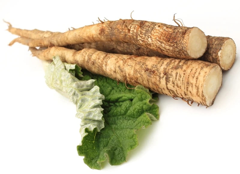 burdock root benefits for hair
