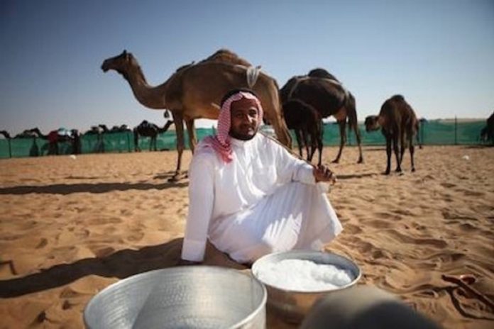 camel milk health benefits