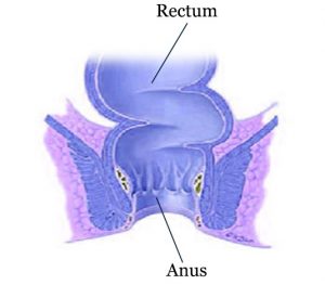 Itchy Anus