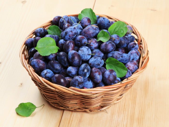 Health benefits of damson plums