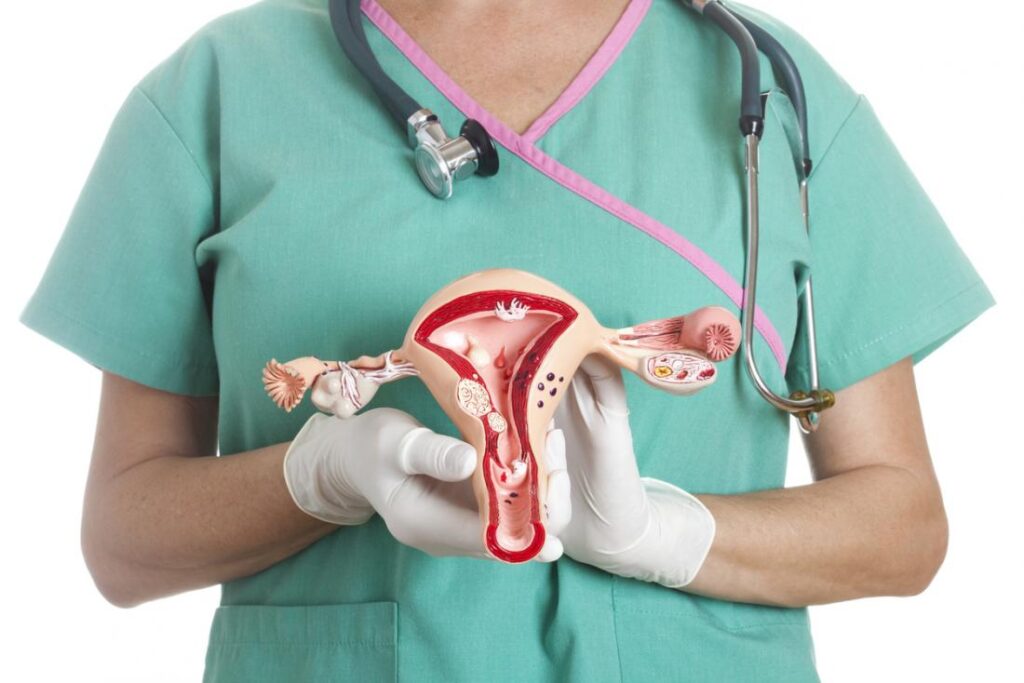 Bulky Uterus: Some Essential Natural Treatments Natural treatments for bulky uterus