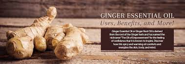 Health benefits of ginger essential oil