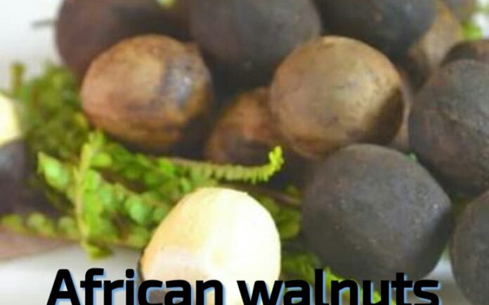 Health Benefits of African Walnut