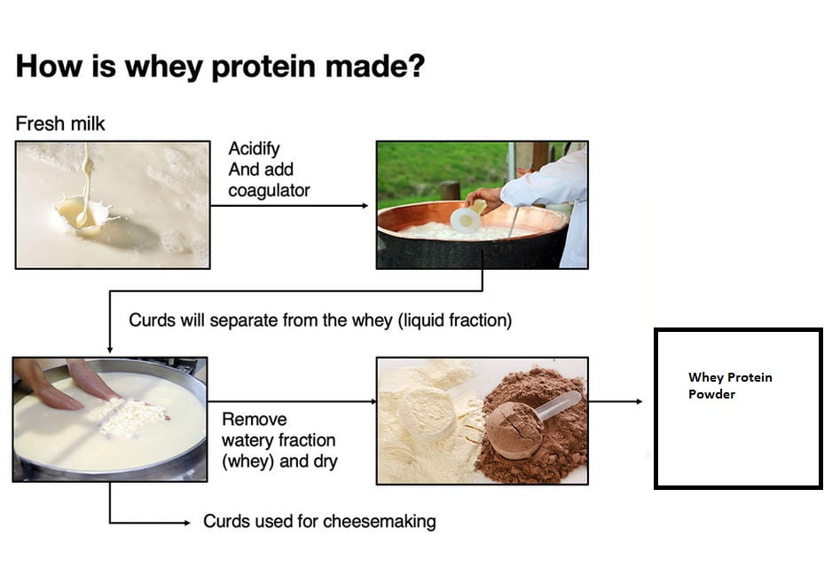 Whey Protien