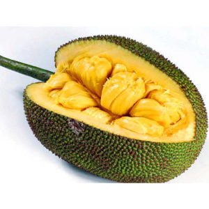 jackfruit