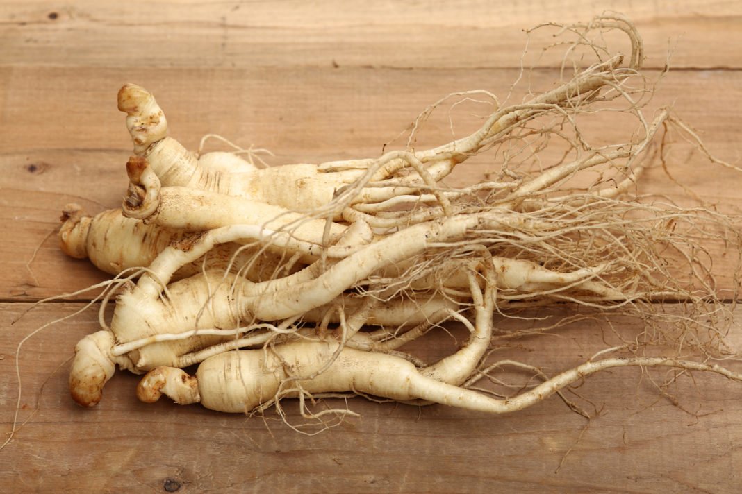 ginseng root