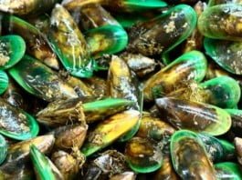 Health benefits of lipped mussel