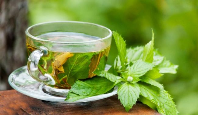 Health benefits of green tea, bone cancer home remedy