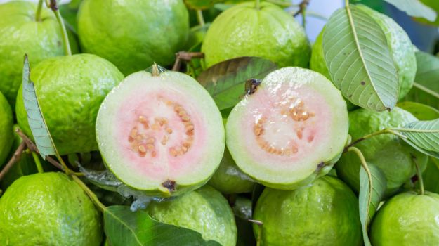 Health benefits of guava