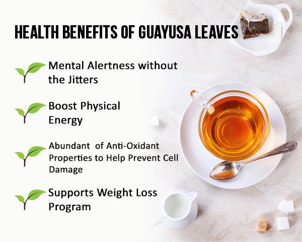 Health benefits of guayusa tea