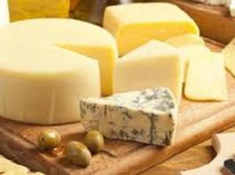 health benefits of cheese for kids