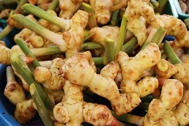 Some health benefits of galangal