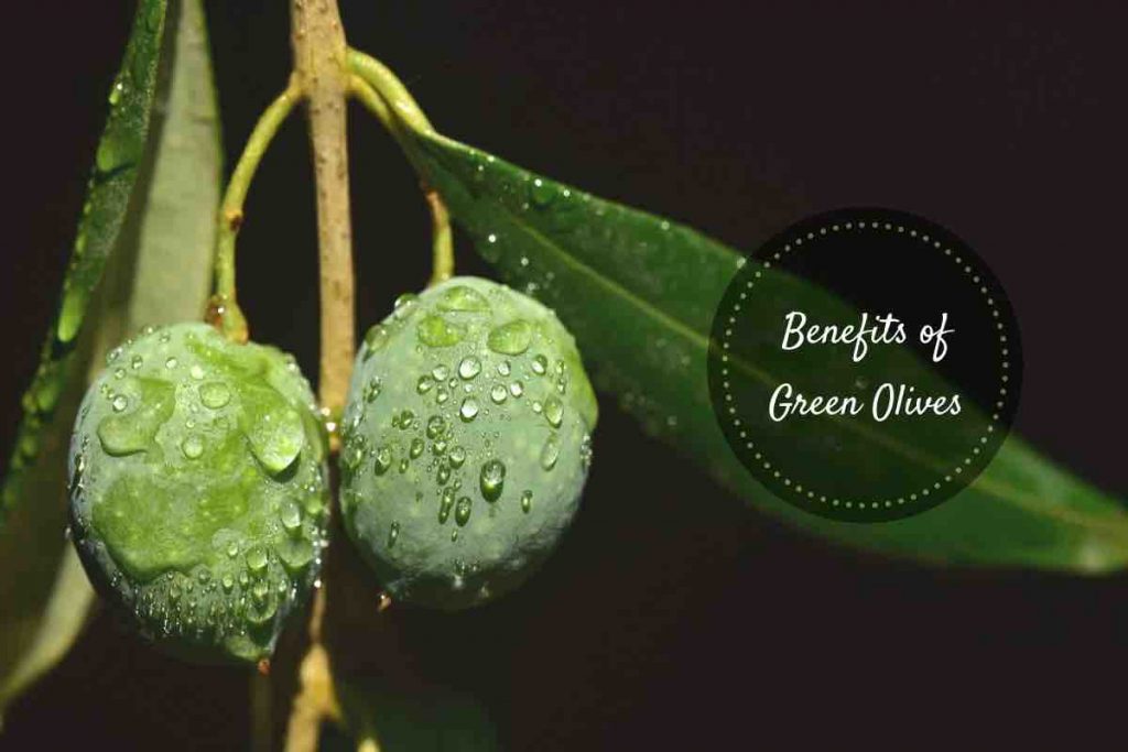 Health benefits of green olives top 09 health benefits of green olives