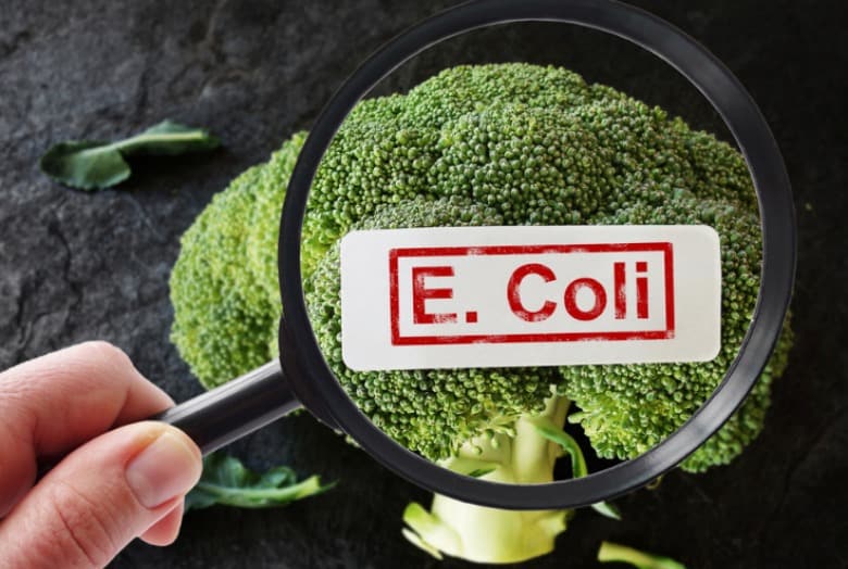 E. Coli 17 Best Natural Remedies For E. Coli