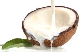 coconut milk health benefits