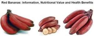 Top 9 health benefits of red banana Red banana
