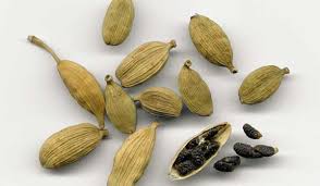 Cardamom essential oil can treat impotence and erectile dysfunctions cardamom essential oil health benefits