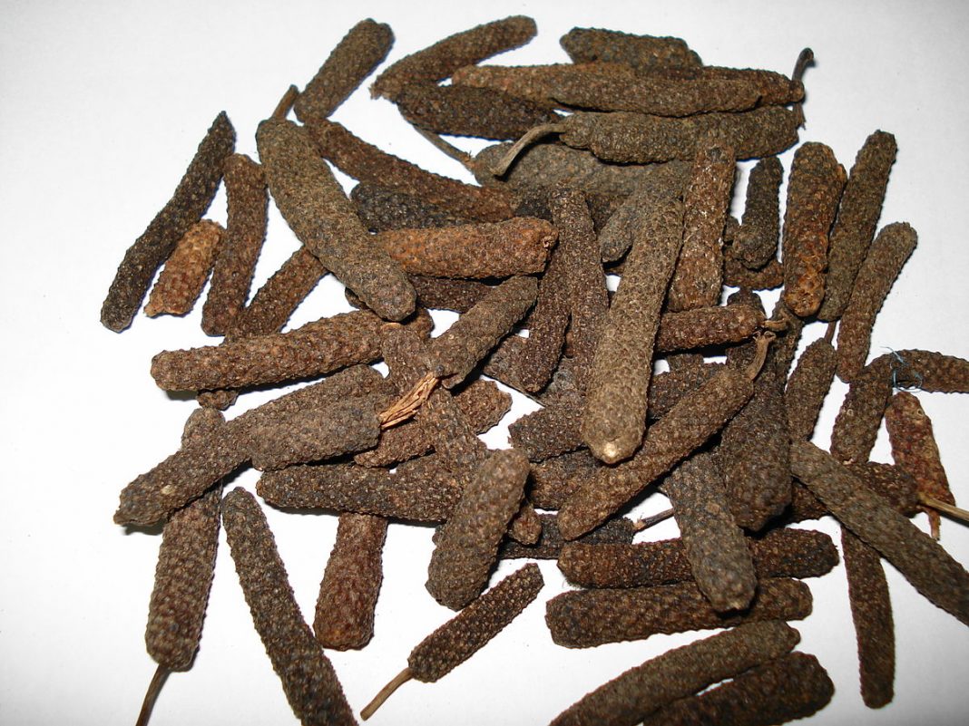 Long Pepper facts and health benefits