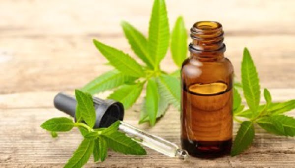 lovage oil recipe