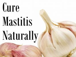mastitis natural treatment