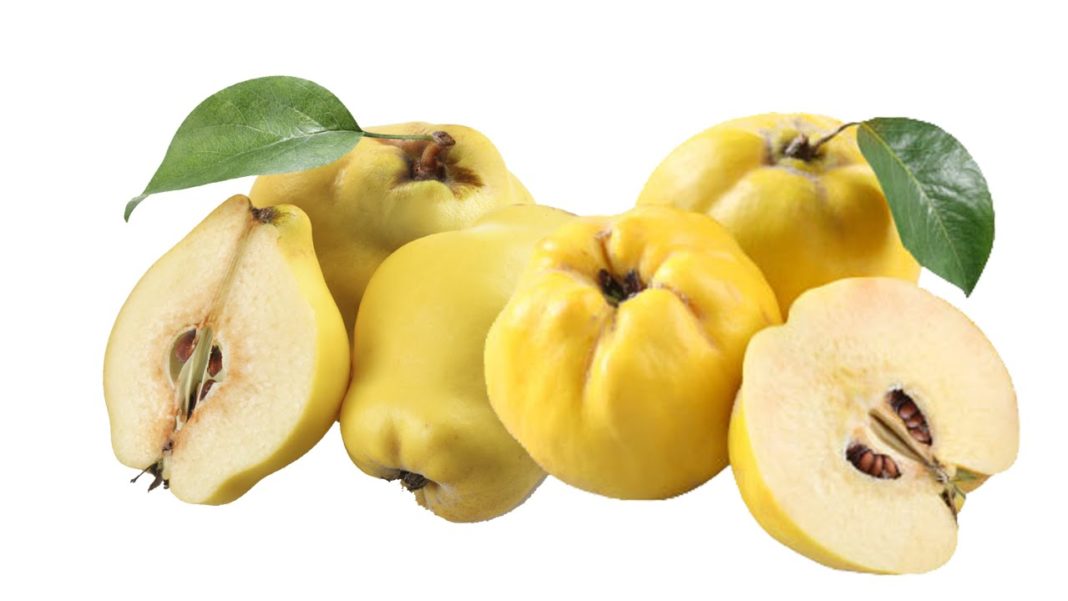 Health benefits of quince