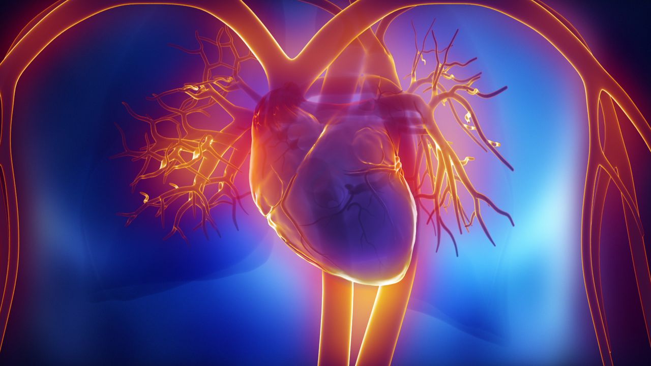 Cardiovascular Disease 15 Best Natural Treatment