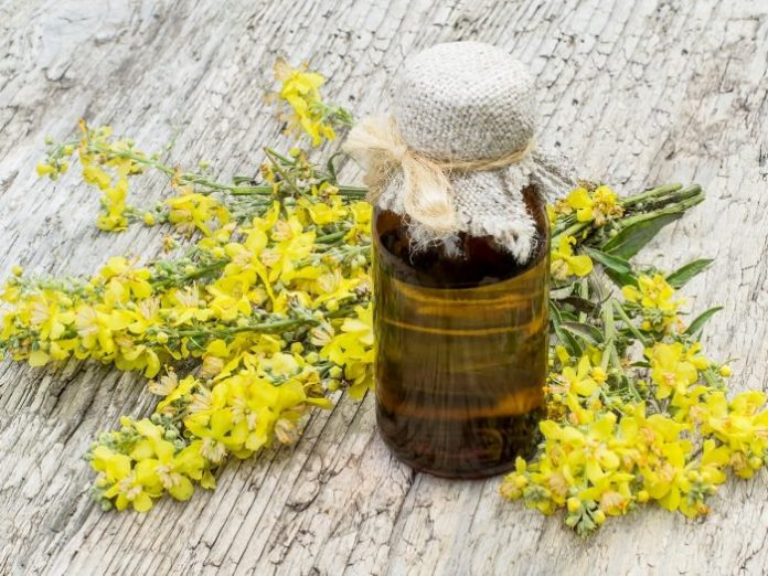 mulleinessentialoils