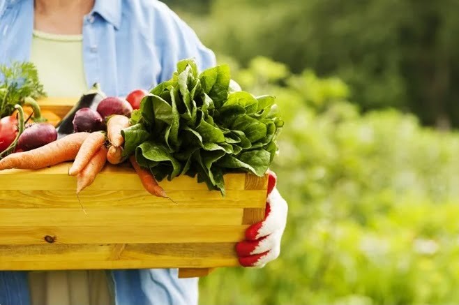 organic food uses for health organic food uses for health