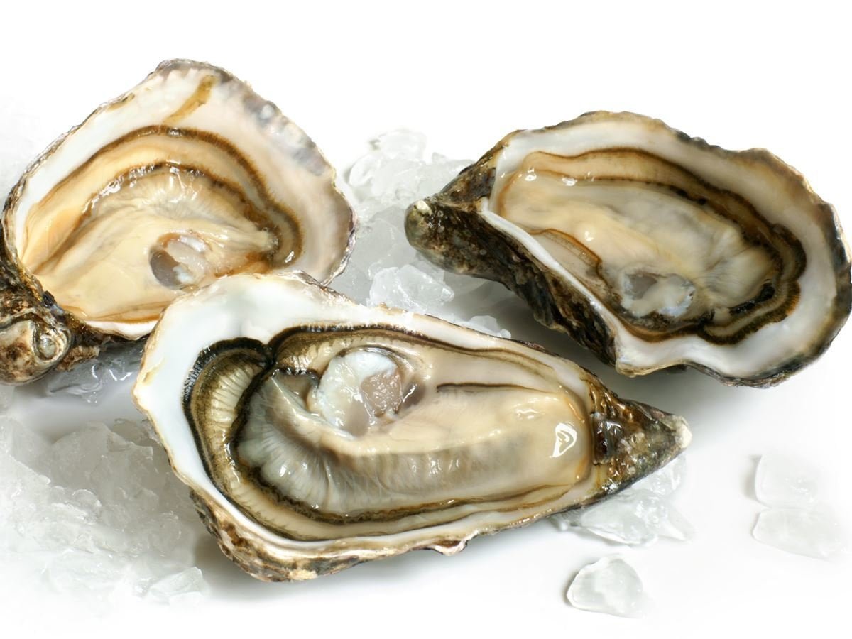 Health benefits of oysters