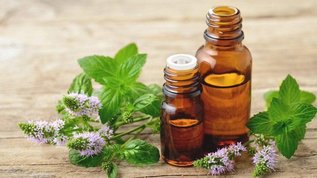 Health benefits of peppermint essential oil