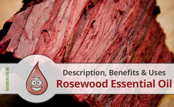 Rosewood essential oil can keep your brain cool, alert, sharp and active