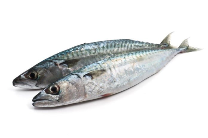 health benefits of sardines