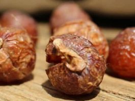 soap nuts review