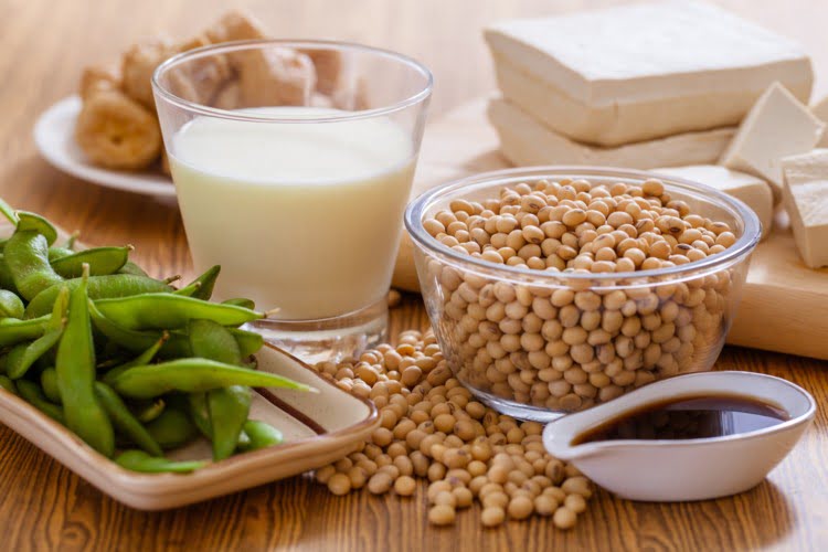 Soy Protein Increases Calcium Absorption And Prevent Osteoporosis