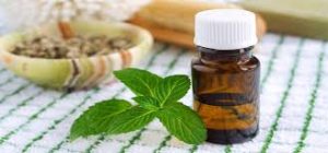 spearmint essential oil