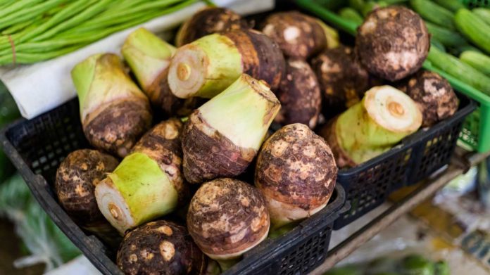 taro root side effects